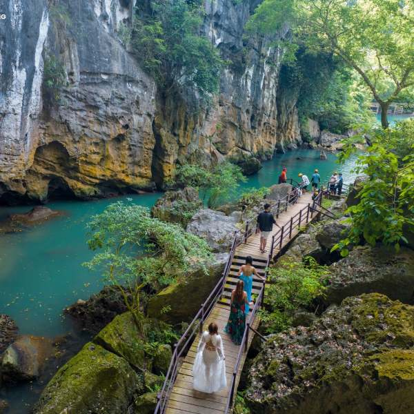 phong nha 1