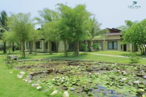 Khung cảnh Celina Resort quảng bình xanh ngát
