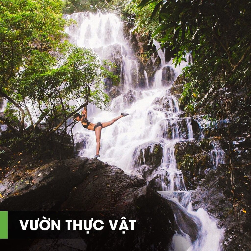 Giá vé tham quan tại Phong Nha Quảng Bình 2025 4 vuon thuc vat