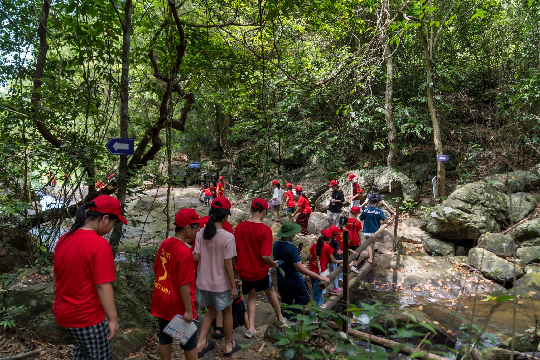 Kinh nghiệm trekking Phong Nha 1 Trekking Vườn Thực Vật cho các em học sinh