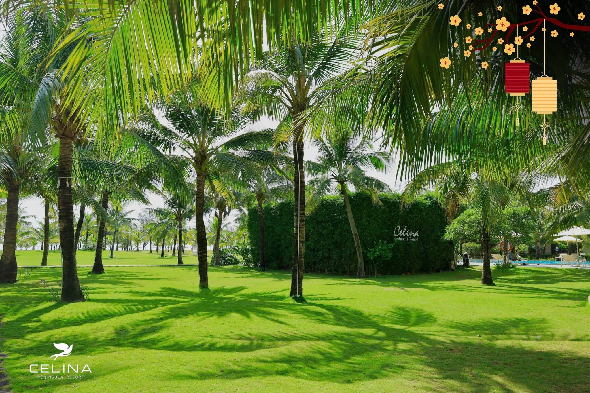 Không gian xanh, phù hợp du lịch MICE Đồng Hới