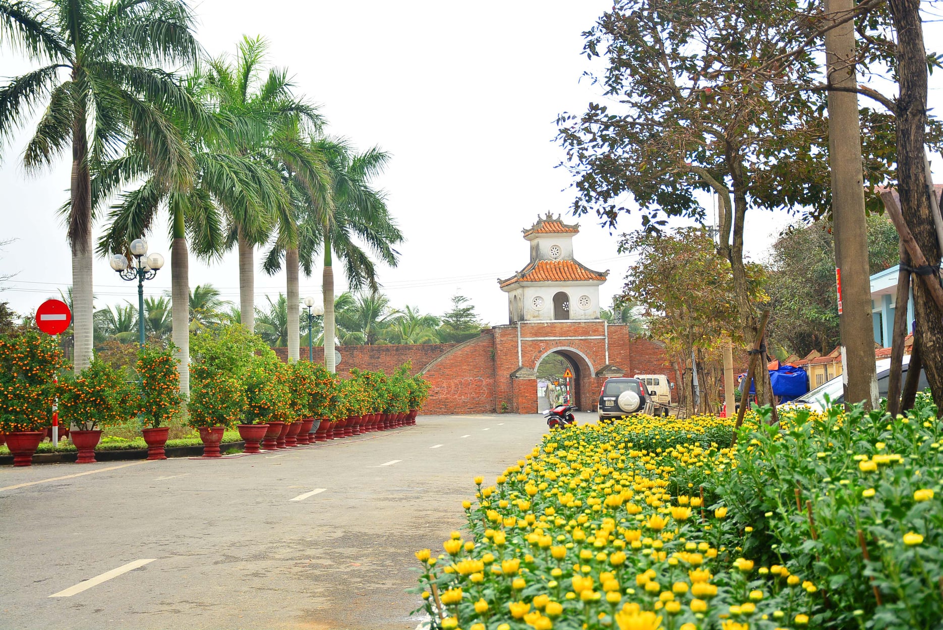 Tour TẾT Bính Ngọ 2026 - Du xuân Phong Nha Mã Đáo Thành Công