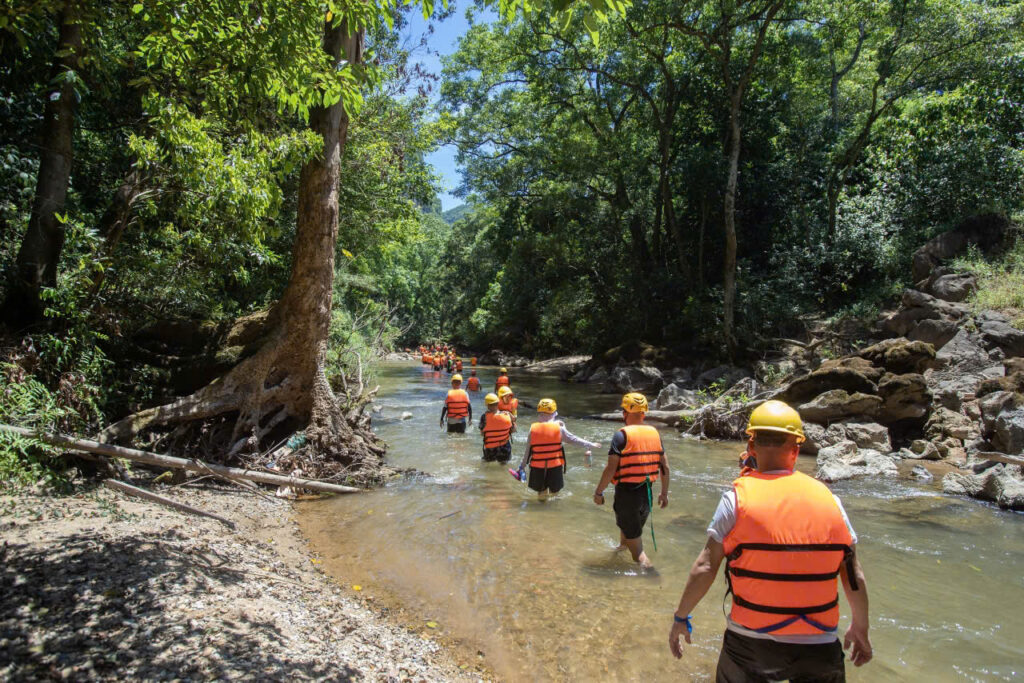 Tour Trekking Ozo Trong Ngày – Lội Suối Băng Rừng Khám Phá Thiên Nhiên Phong Nha 3 Tour Trekking Ozo Trong Ngày - Tour Phong Nha