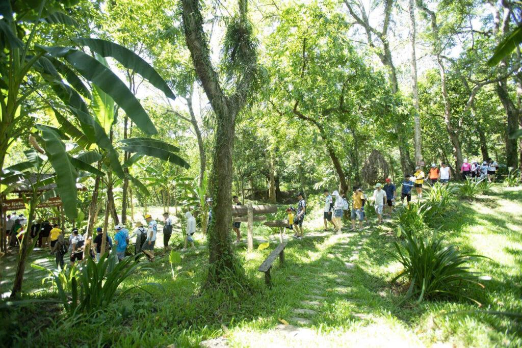 Tour Trekking Ozo Trong Ngày – Lội Suối Băng Rừng Khám Phá Thiên Nhiên Phong Nha 2 Tour Trekking Ozo Trong Ngày - tourphongnha.vn